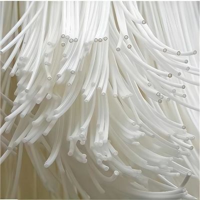 500 L/H Type de filtration Membrane à feuille plate Pvdf Mbr Membrane en fibre creuse pour solution de traitement des eaux usées